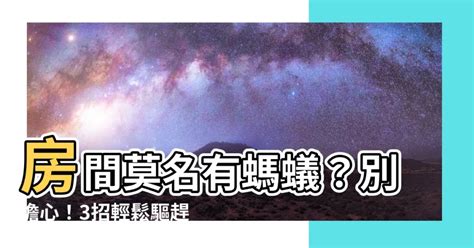 房間突然有螞蟻|【消滅螞蟻】家裡有螞蟻怎麼辦？6種天然方法驅逐螞。